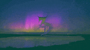northern lights GIF by BTBDesignNC