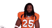 Denver Broncos Football GIF by Broncos