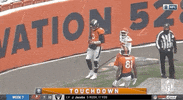 Regular Season Football GIF by NFL