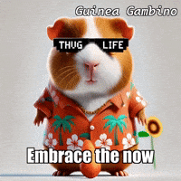 Flower Glow GIF by Guinea Gambino