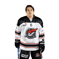 Hokej Celebrating Sticker by Piráti Chomutov