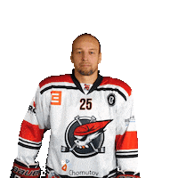 Hokej Pirati Sticker by Piráti Chomutov