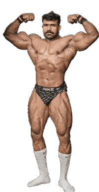 Bear Muscle Sticker by Database數據