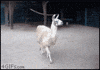 sorry for being so fabulous GIF