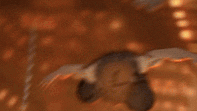 Kimetsu No Yaiba Demon Slayer GIF