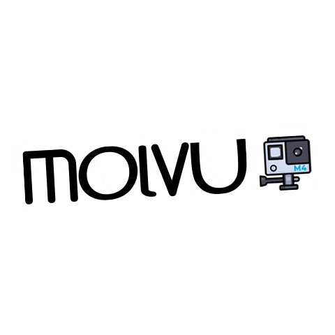 Sport Photography Sticker by molvu