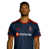 Chicago Fire Reaction Sticker by Chicago Fire Football Club