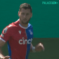 Premier League What GIF by Crystal Palace Football Club