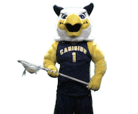 College Point Sticker by Canisius Athletics