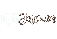 Calligraphy Love Sticker