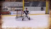 happy ice hockey GIF by Robert Morris University Athletics