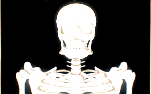 sleepy hollow fox GIF by Bones