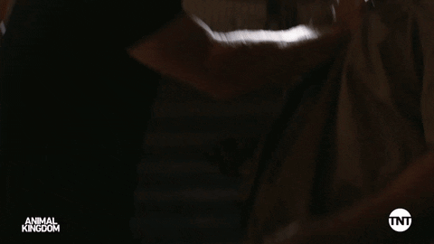 S5 GIF by Animal Kingdom on TNT