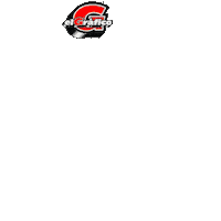 Gol Sticker by Grupo LPG