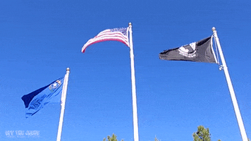 offthejacks usa pow flags american flag GIF