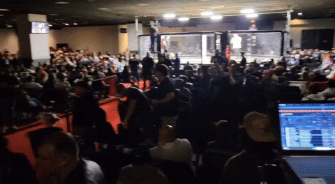 mikebickings  GIF