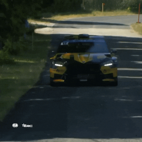 Erc GIF by FIA European Rally Championship