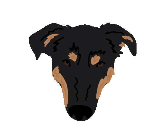 someshelly giphyupload dog intern pupdate Sticker