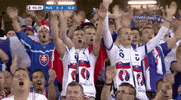 euro 2016 singing GIF by Sporza