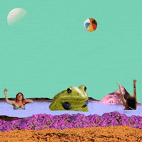 Shambhalahumanresources GIF by Shambhala Music Festival