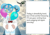 English Language Gnome GIF