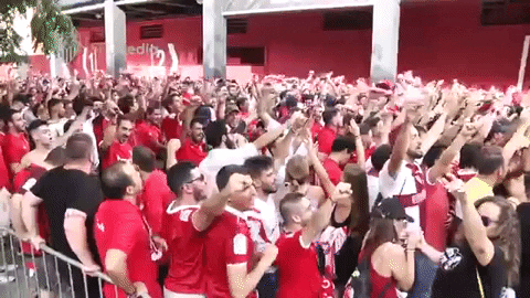 vamos come on GIF by Sevilla Fútbol Club