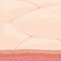 Skin Microbes GIF by The Jackson Laboratory