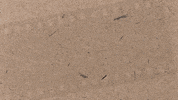 Fitness Health GIF by RENPHO