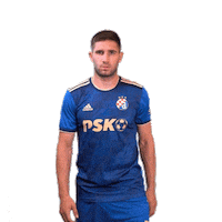 Football Soccer Sticker by GNK Dinamo