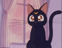 sailor moon GIF