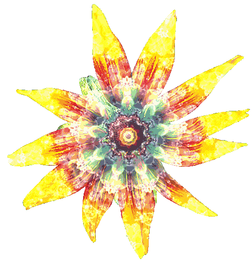 Flower Grow Sticker by Apply