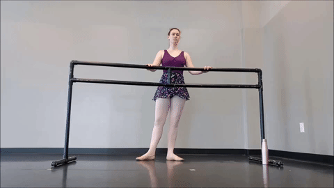 dance ballet GIF