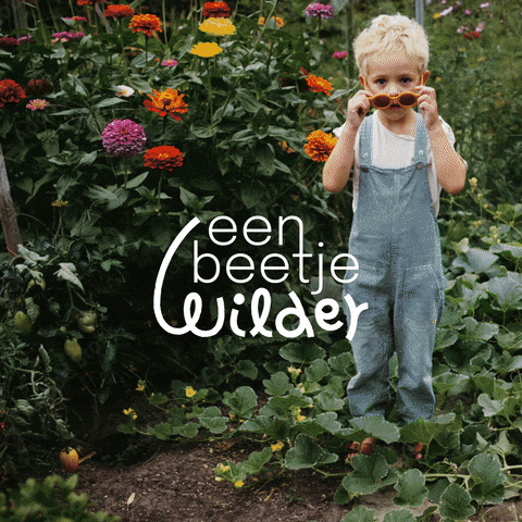 GIF by Gemeente Overijse