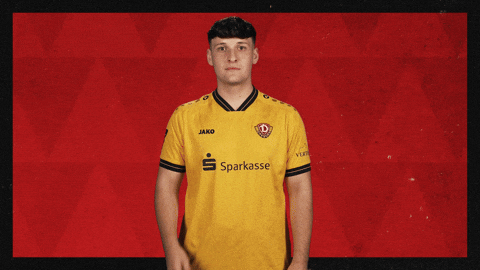 Dynamo Dresden Yawn GIF by Bundesliga
