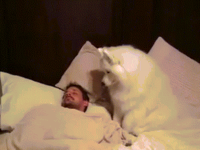 heyy GIF