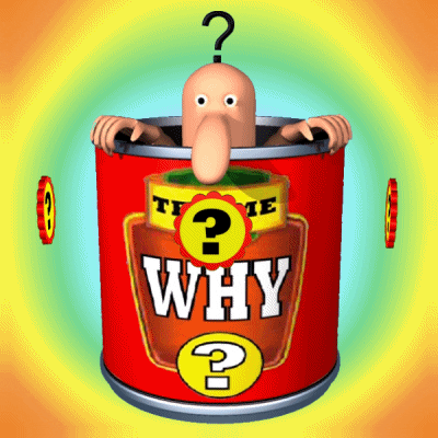 Confused Tell Me Why GIF