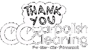 Carpolishcleaning Sticker by carpolish