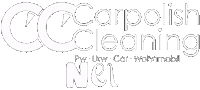 Carpolishcleaning Sticker by carpolish
