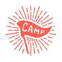 Books Camp Sticker by BookSparks