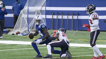 Zach Pascal First Down GIF by Indianapolis Colts