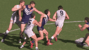 carlton fc GIF by Carlton Football Club