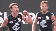 carltonfc blues carlton walsh carlton football club GIF