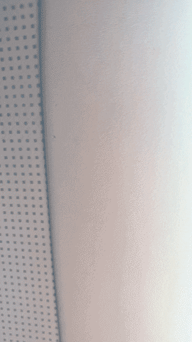 Travel Flying GIF