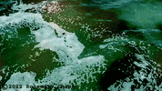 Water Flirting GIF