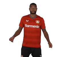 Football Swipe Up Sticker by Bayer 04 Leverkusen