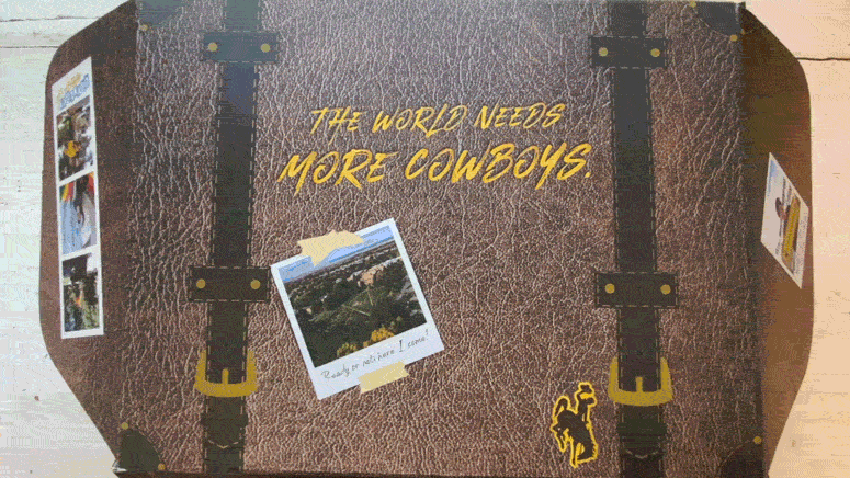 Cowboys Future Cowboy GIF by University of Wyoming