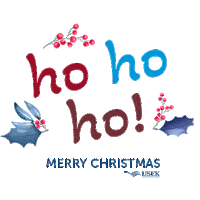 Christmas Sticker by Holy Spirit University of Kaslik