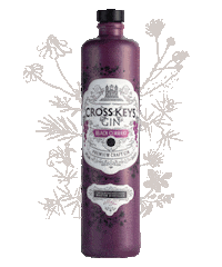 Party Drinking Sticker by CrossKeysGin