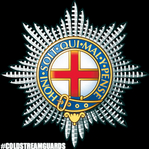 TheGuards giphygifmaker british army second to none the guards GIF