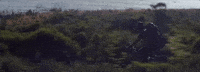jai wolf GIF